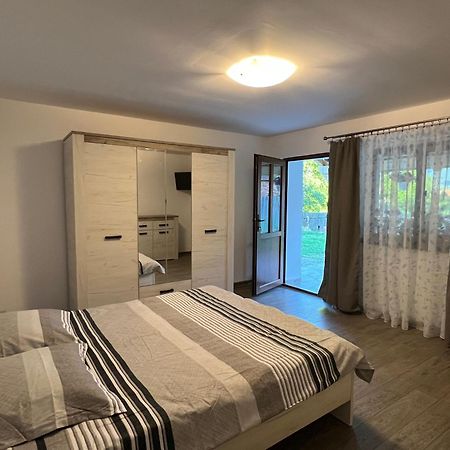 Casa Andrei Villa Cîrţişoara Dış mekan fotoğraf