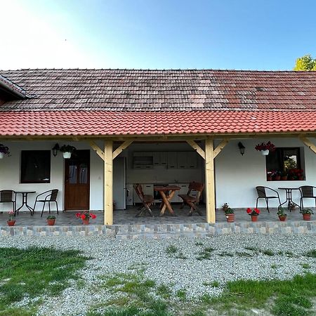 Casa Andrei Villa Cîrţişoara Dış mekan fotoğraf