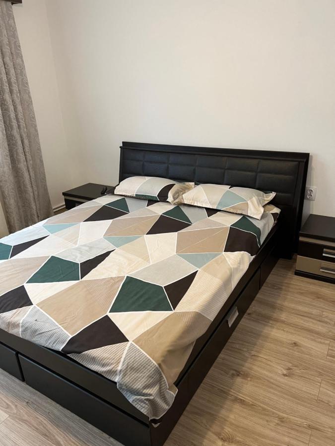 Casa Andrei Villa Cîrţişoara Dış mekan fotoğraf