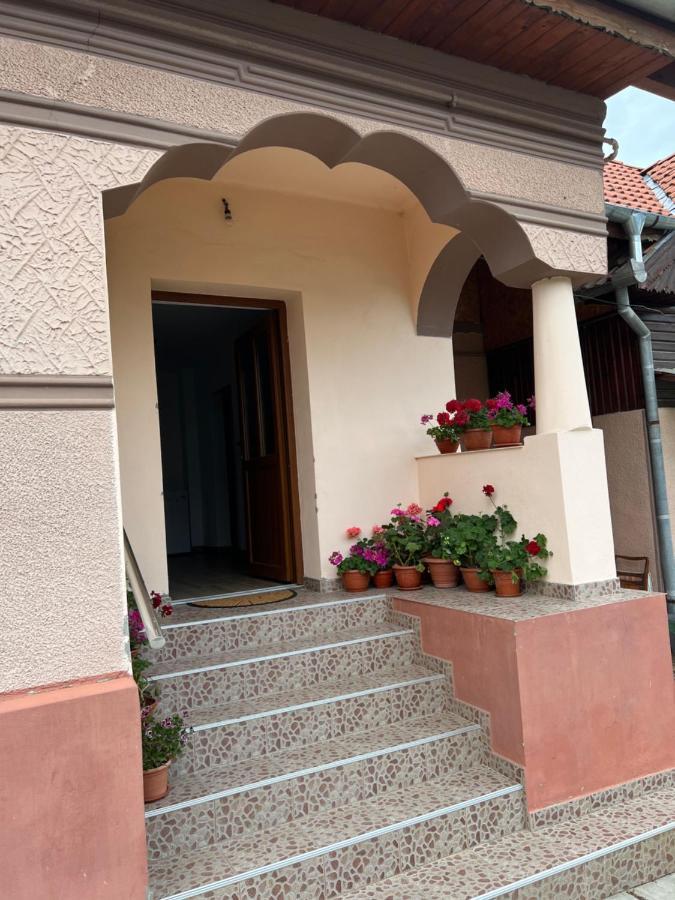 Casa Andrei Villa Cîrţişoara Dış mekan fotoğraf