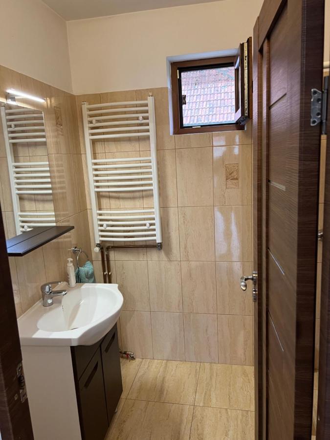 Casa Andrei Villa Cîrţişoara Dış mekan fotoğraf