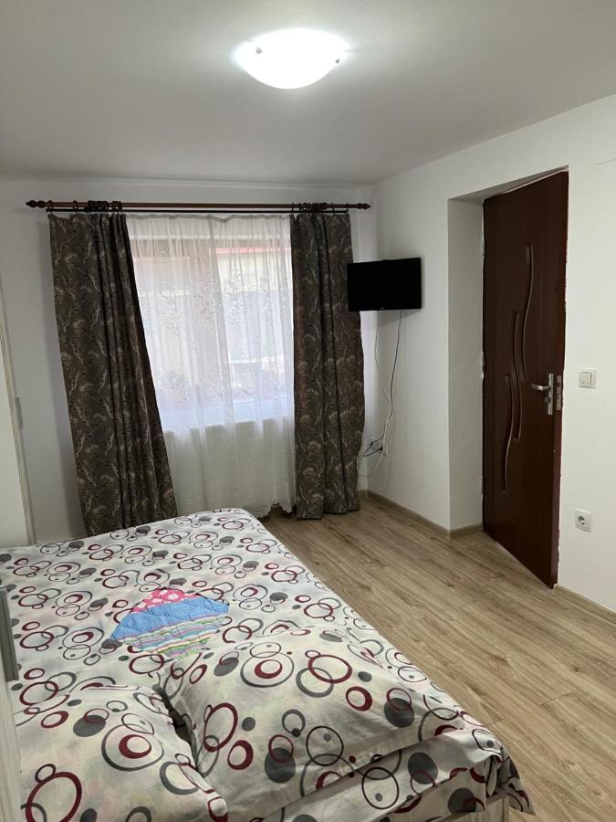 Casa Andrei Villa Cîrţişoara Dış mekan fotoğraf