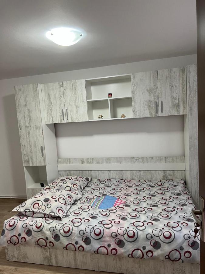Casa Andrei Villa Cîrţişoara Dış mekan fotoğraf