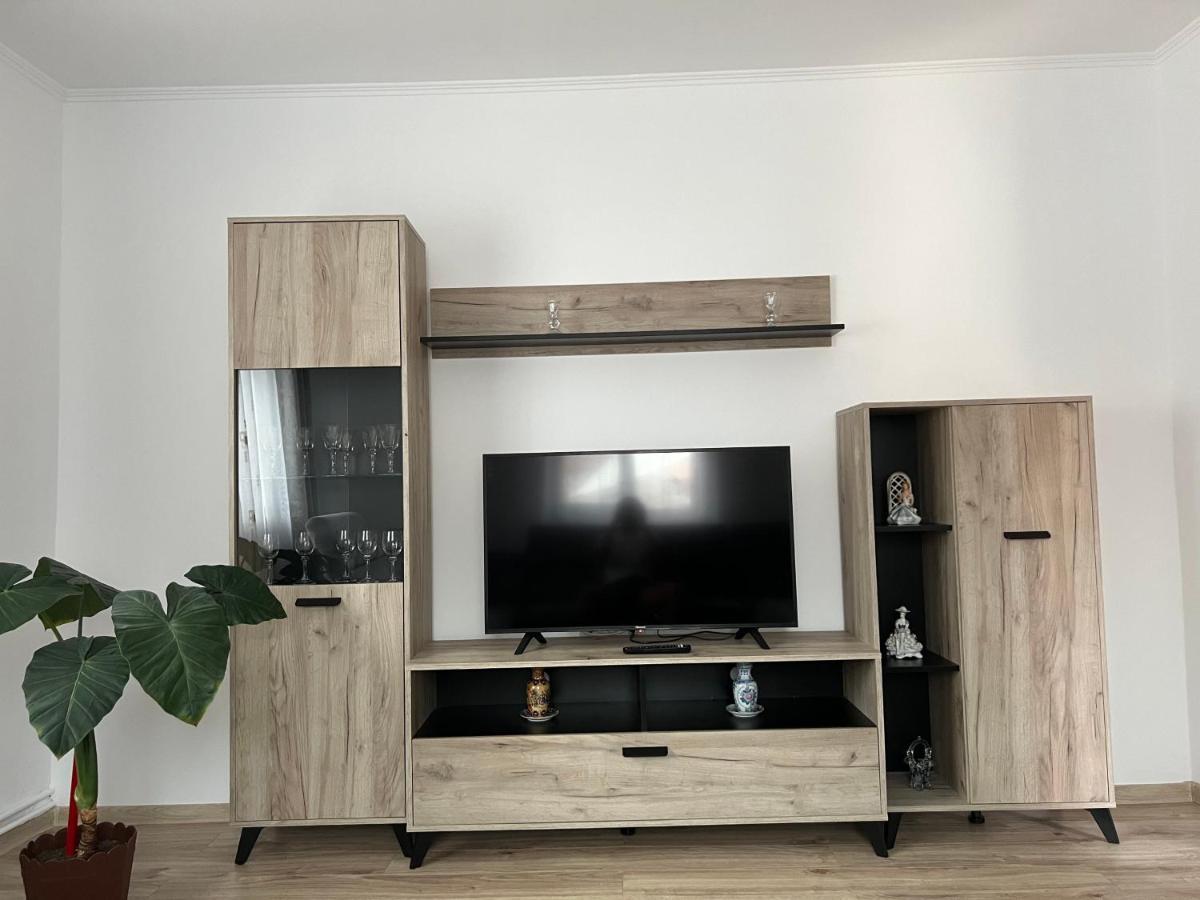 Casa Andrei Villa Cîrţişoara Dış mekan fotoğraf