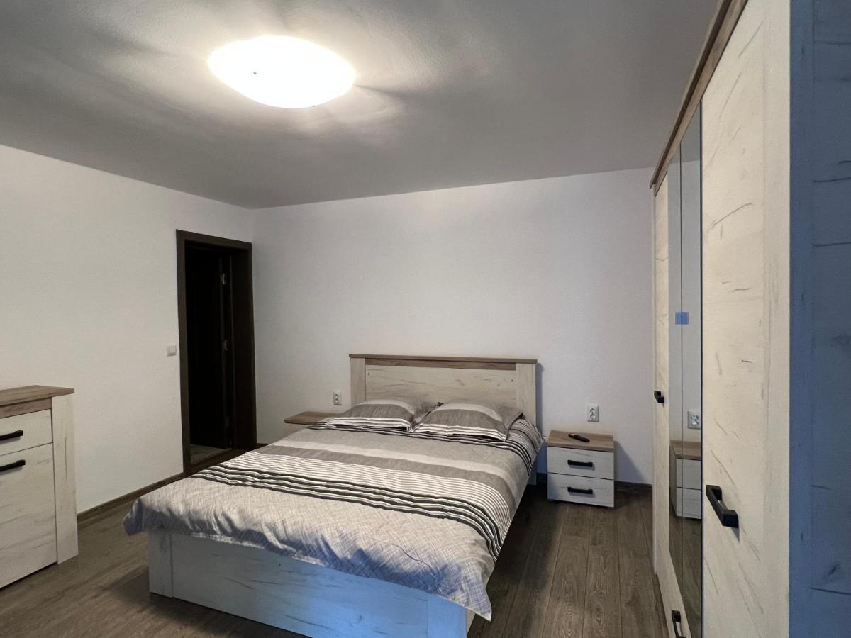 Casa Andrei Villa Cîrţişoara Dış mekan fotoğraf