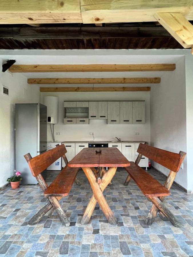 Casa Andrei Villa Cîrţişoara Dış mekan fotoğraf