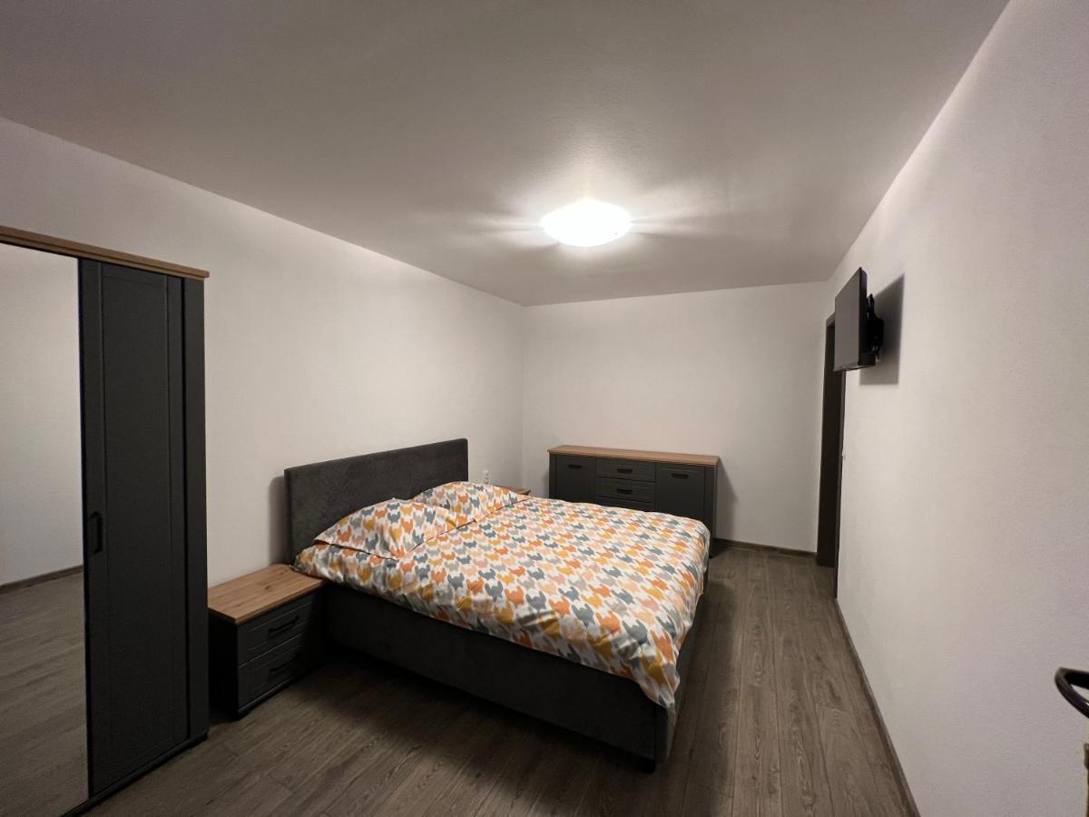 Casa Andrei Villa Cîrţişoara Dış mekan fotoğraf