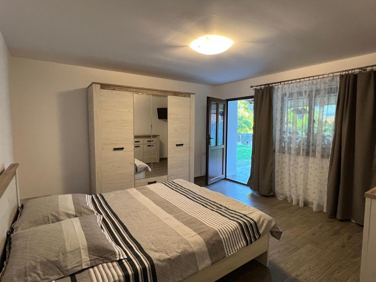 Casa Andrei Villa Cîrţişoara Dış mekan fotoğraf