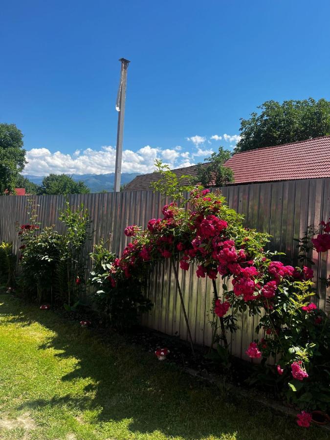 Casa Andrei Villa Cîrţişoara Dış mekan fotoğraf