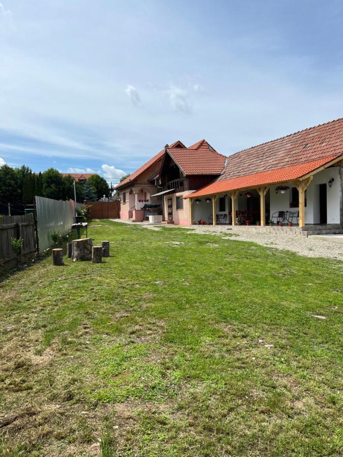 Casa Andrei Villa Cîrţişoara Dış mekan fotoğraf
